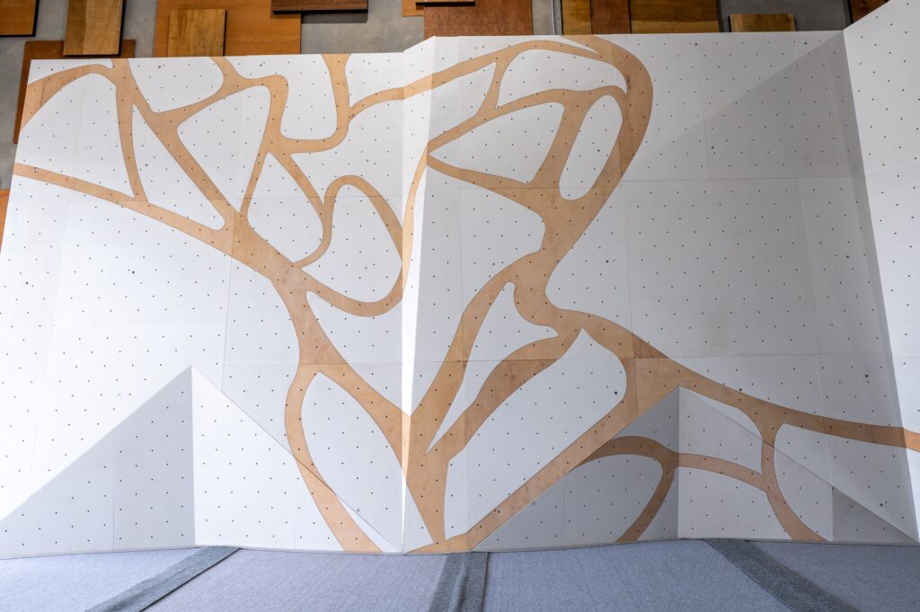 Climbing Walls by ICP | Bouldering, Lead, Speed