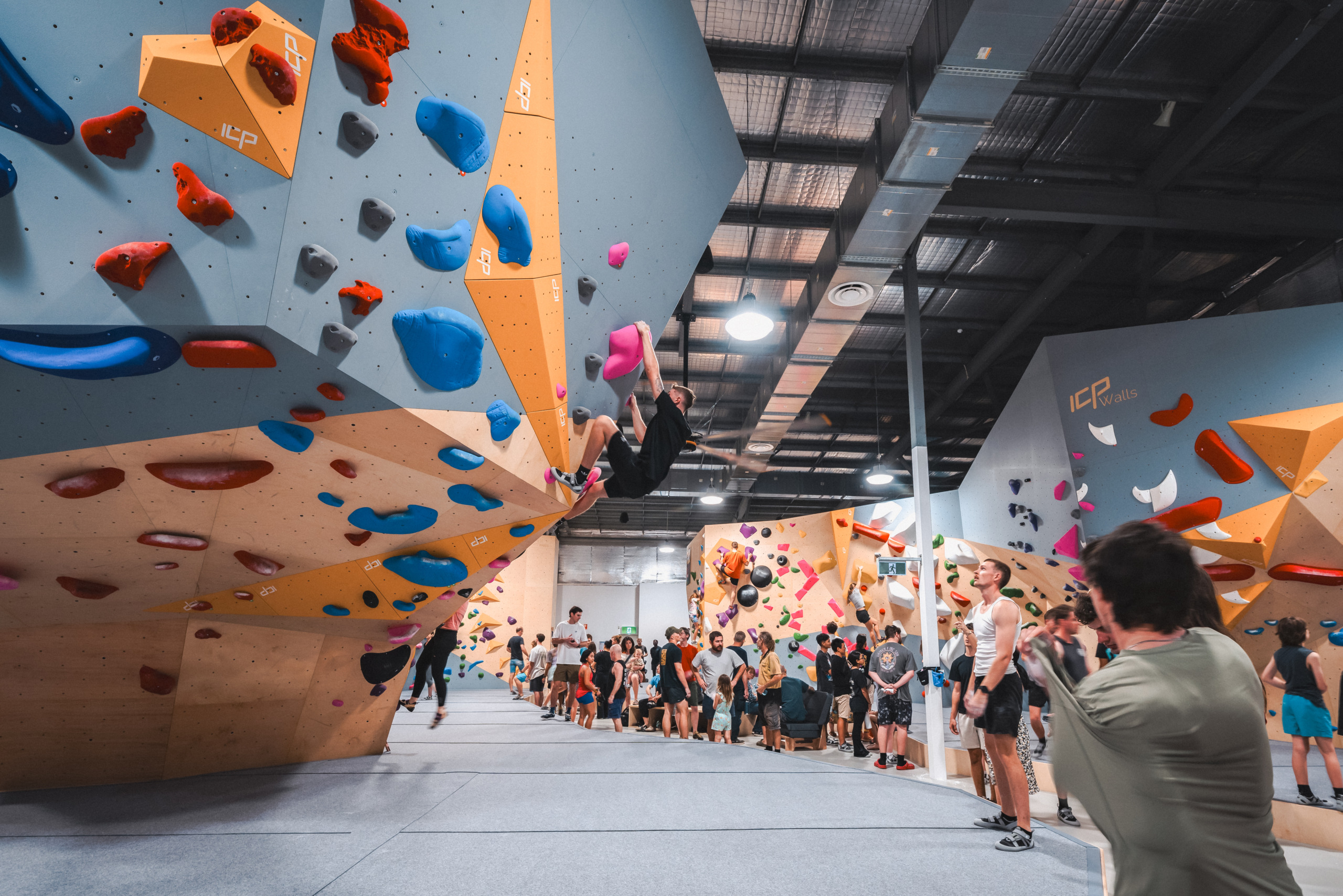 Climbing Wall Build ICP – Gecko Climb Boulder Walls Wood
